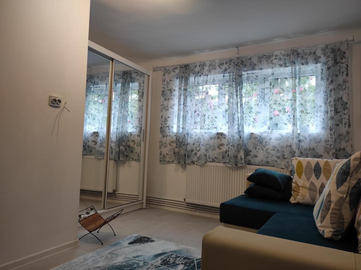 Garsoniera Cocheta Zona Coresi Mall Braşov Buitenkant foto